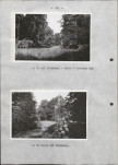 EP - Ewidencja parkowa, skan nr 26