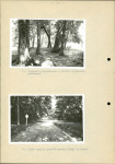Ewidencja parkowa, skan nr 34