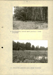 EP - Ewidencja parkowa, skan nr 29