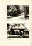 Ewidencja parkowa, skan nr 39