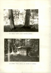 Ewidencja parkowa, skan nr 50