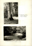 Ewidencja parkowa, skan nr 52