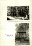 Ewidencja parkowa, skan nr 53