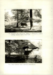 Ewidencja parkowa, skan nr 54