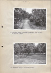 Ewidencja parkowa, skan nr 26