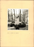 EP - Ewidencja parkowa, skan nr 40