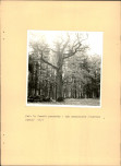 EP - Ewidencja parkowa, skan nr 43