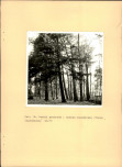 EP - Ewidencja parkowa, skan nr 51