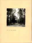 EP - Ewidencja parkowa, skan nr 54