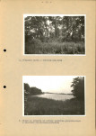 Ewidencja parkowa, skan nr 22