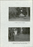 Ewidencja parkowa, skan nr 28