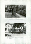 Ewidencja parkowa, skan nr 44