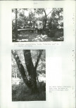 Ewidencja parkowa, skan nr 50