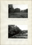 Ewidencja parkowa, skan nr 34