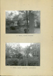 Ewidencja parkowa, skan nr 36