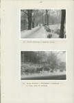 EP - Ewidencja parkowa, skan nr 28
