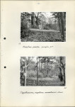 Ewidencja parkowa, skan nr 32