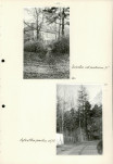Ewidencja parkowa, skan nr 33