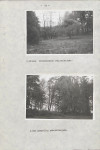 Ewidencja parkowa, skan nr 25