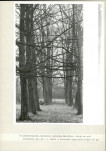 Ewidencja parkowa, skan nr 24