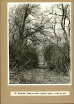 EP - Ewidencja parkowa, skan nr 33