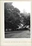 Ewidencja parkowa, skan nr 40