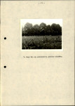 EP - Ewidencja parkowa, skan nr 21