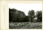 Ewidencja parkowa, skan nr 32