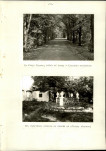Ewidencja parkowa, skan nr 38