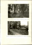 Ewidencja parkowa, skan nr 42