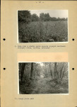 Ewidencja parkowa, skan nr 27