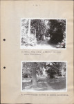 EP - Ewidencja parkowa, skan nr 23