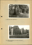 Ewidencja parkowa, skan nr 36