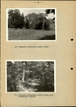 Ewidencja parkowa, skan nr 43