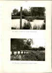 Ewidencja parkowa, skan nr 36