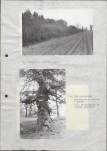 Ewidencja parkowa, skan nr 30