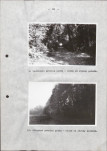 Ewidencja parkowa, skan nr 28