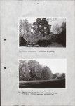 Ewidencja parkowa, skan nr 32