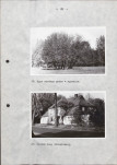 Ewidencja parkowa, skan nr 33