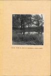 Ewidencja parkowa, skan nr 33