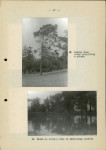 Ewidencja parkowa, skan nr 48