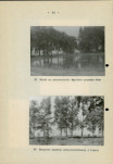 Ewidencja parkowa, skan nr 49