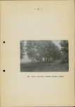 Ewidencja parkowa, skan nr 50