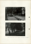 EP - Ewidencja parkowa, skan nr 48