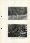 EP - Ewidencja parkowa, skan nr 53