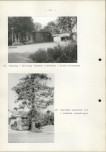 EP - Ewidencja parkowa, skan nr 54