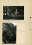 Ewidencja parkowa, skan nr 30