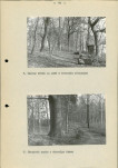 Ewidencja parkowa, skan nr 22