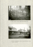EP - Ewidencja parkowa, skan nr 31
