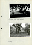 Ewidencja parkowa, skan nr 34